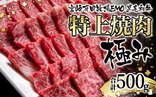 黒毛和牛稀少部位を含む 特上焼肉極み500g 有田牧畜産業ブランドEMO牛 牛肉 焼肉 国産牛肉＜1.8-23＞