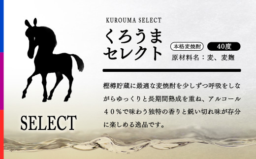 麊çŒé
ããããŸã»ã¬ã¯ã 40床720ml ç¥æ¥œé
é ïŒ1.1-55ïŒ