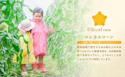 ãå
è¡äºçŽã æã©ã ã¹ã€ãŒãã³ãŒã³ ãŽãŒã«ãã©ãã·ã¥7kg 西éœåžç£ãšãããããïŒ1.2-24ïŒâ