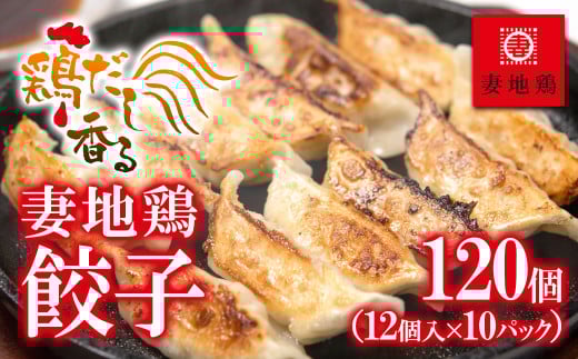 ブランド地鶏「妻地鶏」ぎょうざ詰合せ45　120個（12個×10パック） 小分け＜1.5-13＞