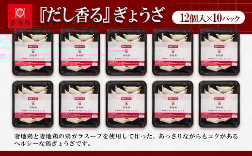 ブランド地鶏「妻地鶏」ぎょうざ詰合せ45　120個（12個×10パック） 小分け＜1.5-13＞
