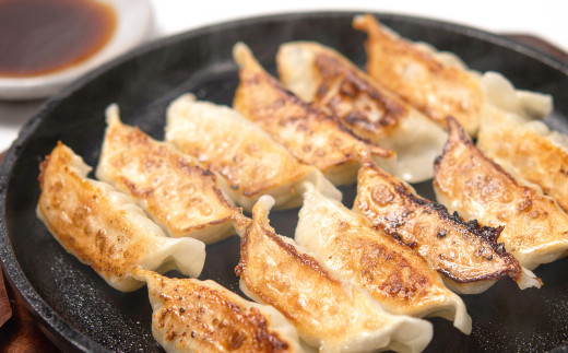 ブランド地鶏「妻地鶏」ぎょうざ詰合せ30　72個（12個×6パック）小分け＜1-23＞