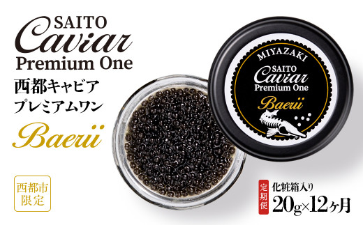 【12ヶ月定期便】SAITO CAVIAR PREMIUM ONE BAERII 20g×12ヶ月 ＜50-1＞キャビア 西都市オリジナル