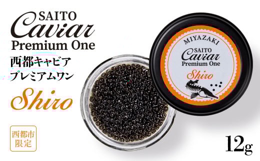 SAITO CAVIAR PREMIUM ONE SHIRO 12g＜3.8-1＞キャビア 西都市オリジナル