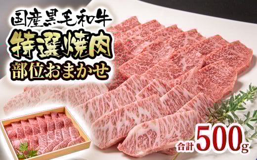 黒毛和牛 希少部位を含む特選焼肉500g 部位おまかせ 有田牧場＜1.6-35＞