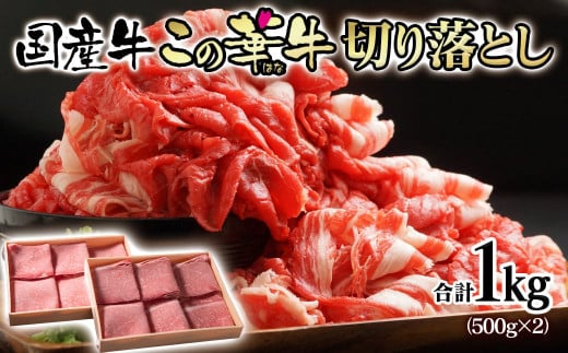 宮崎有田牧場 オリジナルブランド『この華牛』赤身主体 国産牛 切り落とし 1㎏ 500g×2パック 小分け 牛丼 カレー 肉じゃが等＜1.2-28＞