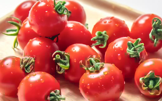 å±±å£ããã¡ã®äžçããã çŽ2kg ã·ã³ãã£ãŒã¹ã€ãŒã å®®åŽç西éœåžç£ãšãŸãšãå
è¡äºçŽãïŒ1-280ïŒâ