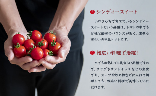 å±±å£ããã¡ã®äžçããã çŽ2kg ã·ã³ãã£ãŒã¹ã€ãŒã å®®åŽç西éœåžç£ãšãŸãšãå
è¡äºçŽãïŒ1-280ïŒâ