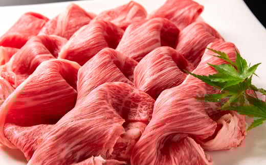 宮崎有田牧場 黒毛和牛 特選肩ローススライス500g　すき焼き しゃぶしゃぶ 国産牛肉＜14-3a＞