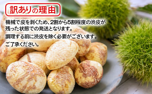 【訳あり】 新鮮朝どれ 生むき栗 1.5㎏ 西都市産【先行予約】＜49-8a＞