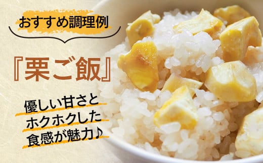 【先行予約】新鮮朝どれ生栗 2kg 西都市産＜49-5a＞