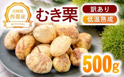 【訳あり】低温熟成栗 国産むき栗 500g 糖度2～3倍  西都市産＜1.1-19＞くり 栗  国産 生栗 果物 フルーツ 栗きんとん スイーツに★