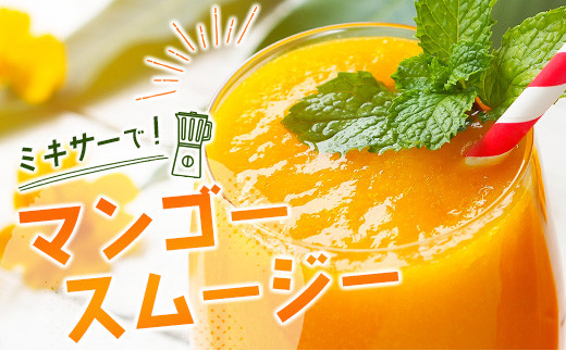 【先行予約】訳あり「ご家庭用」宮崎県西都市産完熟マンゴー2kg ＜2-95＞2026年発送