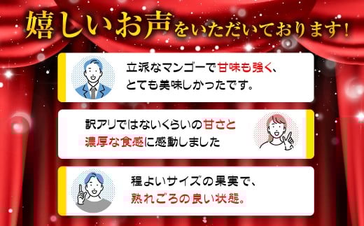 【先行予約】訳あり「ご家庭用」宮崎県西都市産完熟マンゴー2kg ＜2-95＞2026年発送
