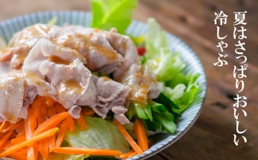 螳ョ蟠守恁逕」雎夊i繝舌Λ繧ケ繝ゥ繧、繧ケ1.6kg 蟆丞縺400gテ4繝代ャ繧ッ 縺励c縺カ縺励c縺カ逕ィシ1.3-18シ樞