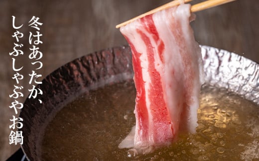 宮崎県産豚肉しゃぶしゃぶスライス4種セット 合計3.8kg ロース・肩ロース・バラ・モモ 小分け＜2-19＞