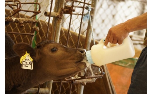 ã4æçºéãå®®åŽæç°ç§å Ž é»æ¯åçé«çŽéšäœ ã·ã£ããŒããªã¢ã³å
¥ããã¬ã¹ããŒã5æ çè ã¹ããŒãïŒ6.5-4ïŒ