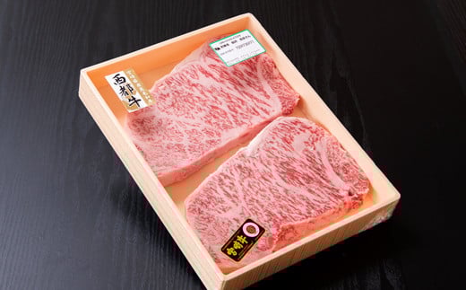 宮崎牛サーロインステーキ500g（250ｇ×2枚）牛肉 ステーキ 4等級以上 内閣総理大臣賞4連覇 厳選の西都市産宮崎牛＜3-43＞