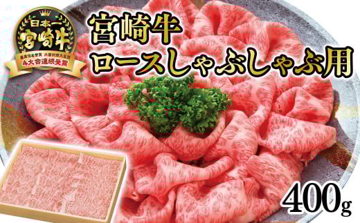 ãå®®åŽçãããŒã¹ããã¶ããã¶çš400ïœ 4ççŽä»¥äž å
é£ç·ç倧è£è³4é£èŠ å³éžã®è¥¿éœåžç£å®®åŽçïŒ2.5-29ïŒã¹ã©ã€ã¹