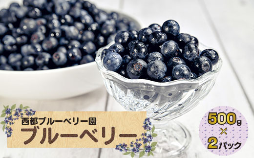 【先行予約】朝どれ！新鮮生ブルーベリー1kg（250g×4パック） 西都ブルーベリー農園 小分け＜43-1a＞