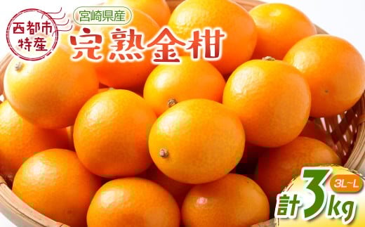 訳あり 宮崎県西都市産完熟金柑 きんかん3kg（3L～L）西都市特産品＜1.2-41＞【2月9日終了】