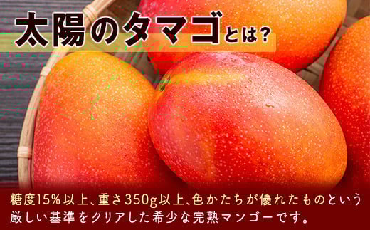 2026年発送　最高級ブランド『太陽のタマゴ』3Lサイズ2個or2Lサイズ3個【糖度15度以上】宮崎県西都市産完熟マンゴー＜18-10a＞【先行予約】