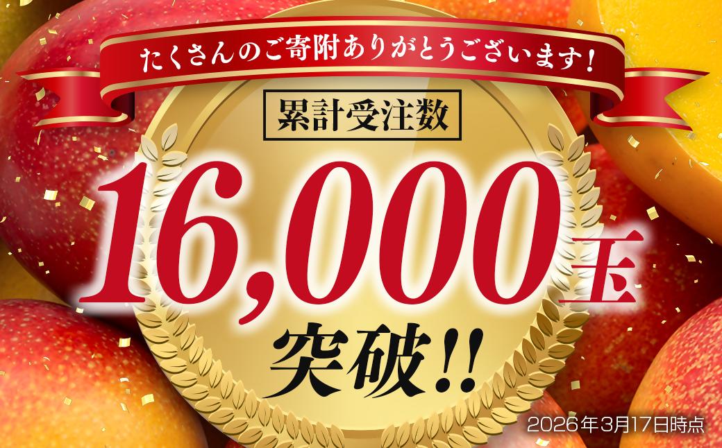 2026年発送　最高級ブランド『太陽のタマゴ』3Lサイズ2個or2Lサイズ3個【糖度15度以上】宮崎県西都市産完熟マンゴー＜18-10a＞【先行予約】