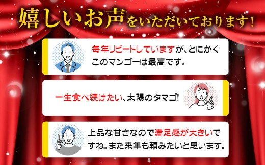 2026年発送　最高級ブランド『太陽のタマゴ』3Lサイズ2個or2Lサイズ3個【糖度15度以上】宮崎県西都市産完熟マンゴー＜18-10a＞【先行予約】