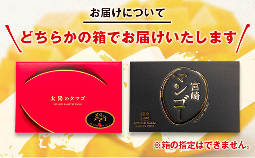 2026年発送　最高級ブランド『太陽のタマゴ』3Lサイズ2個or2Lサイズ3個【糖度15度以上】宮崎県西都市産完熟マンゴー＜18-10a＞【先行予約】