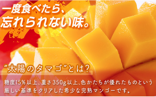 ãå
è¡äºçŽãæé«çŽãã©ã³ãã倪éœã®ã¿ããŽã2LÃ2åãç³åºŠ15床以äžãå®®åŽç西éœåžç£å®çãã³ãŽãŒ ïŒ2-76ïŒ2026幎çºé