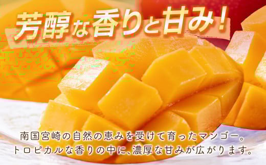 ãå
è¡äºçŽã西éœåžç£å®çãã³ãŽãŒ2LÃ2åãèš700gä»¥äž 2026幎çºéïŒ1.2-39ïŒ