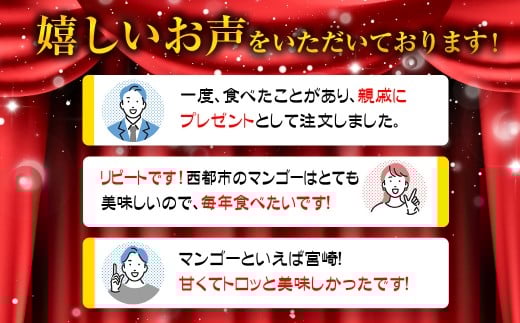 ãå
è¡äºçŽã西éœåžç£å®çãã³ãŽãŒ2LÃ2åãèš700gä»¥äž 2026幎çºéïŒ1.2-39ïŒ