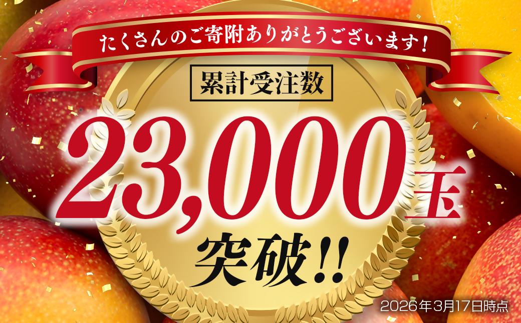 【先行予約】西都市産完熟マンゴー2L×2個　計700g以上 2026年発送＜18-5a＞