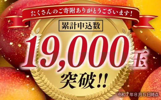 ãå
è¡äºçŽã西éœåžç£å®çãã³ãŽãŒ2LÃ2åãèš700gä»¥äž 2026幎çºéïŒ1.2-39ïŒ