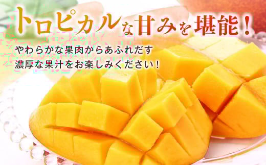 ãå
è¡äºçŽã西éœåžç£å®çãã³ãŽãŒ2LÃ2åãèš700gä»¥äž 2026幎çºéïŒ1.2-39ïŒ