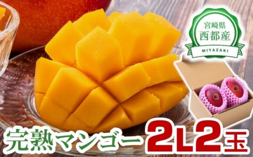 西都市産完熟マンゴー 2L×2玉 糖度12度以上【先行予約】＜1.3-6＞宮崎完熟マンゴー 果物 フルーツ 甘い