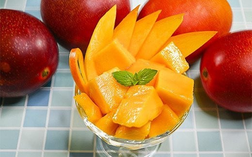 ãå
è¡äºçŽã2026幎çºé 西éœåžç£å®çãã³ãŽãŒ 2LÃ2ç ç³åºŠ12床以äžïŒ1.3-6ïŒå®®åŽå®çãã³ãŽãŒ æç© ãã«ãŒã çã