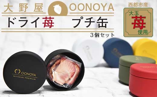 苺大野屋　やよいひめドライ苺　プチ缶３個セット　宮崎県西都市＜1-221＞　