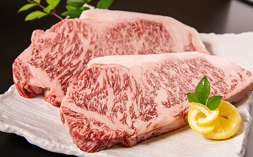 サイトーファームギフト券 9000円分（1000円×9枚）「宮崎和牛 齋藤牛」＜5-4a＞牛肉 黒毛和牛 お食事券 補助券