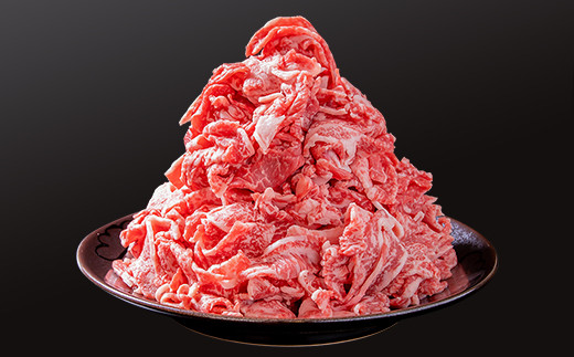 サイトーファームギフト券 9000円分（1000円×9枚）「宮崎和牛 齋藤牛」＜5-4a＞牛肉 黒毛和牛 お食事券 補助券