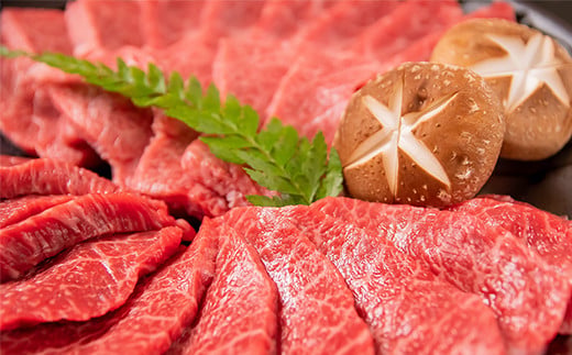 サイトーファームギフト券 9000円分（1000円×9枚）「宮崎和牛 齋藤牛」＜5-4a＞牛肉 黒毛和牛 お食事券 補助券