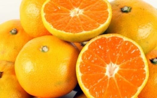 西都市産 極早生～早生みかん 5kg 【先行予約】＜26-1a＞