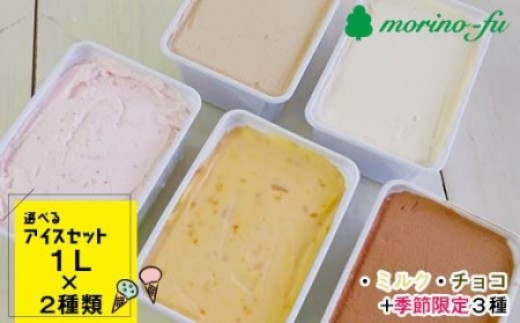 訳あり 2000ml【もりのふうオリジナル】アイスセット（1L×２個）合計2L＜1.2-22＞