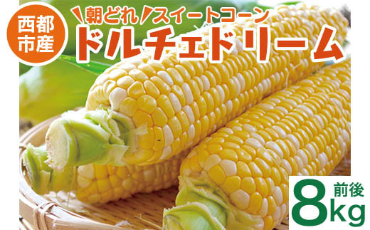 初夏の味覚！鮮度が命 村田さん家の朝どれスイートコーン『ドルチェドリーム』8kg前後 生産者直送 5月発送開始【先行予約 】＜1.2-44＞