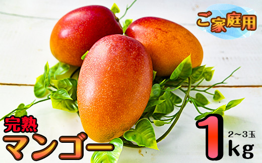 【先行予約】杉田農園 訳あり 西都市産 ご家庭用完熟マンゴー（２玉～3玉） 生産者直送 宮崎マンゴー　2026年発送＜1.3-25＞