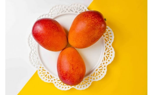 【先行予約】杉田農園 訳あり 西都市産 ご家庭用完熟マンゴー（２玉～3玉） 生産者直送 宮崎マンゴー　2026年発送＜1.3-25＞