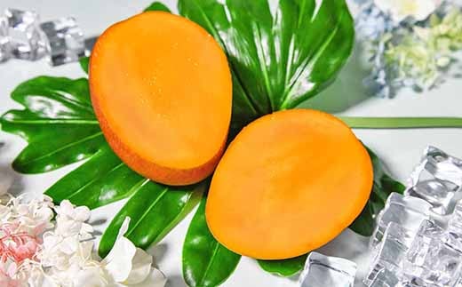 先行予約【マンゴー専門 杉田農園】西都市産 完熟マンゴー 2玉  900g～1kg 化粧箱入 生産者直送  宮崎マンゴー 2026年発送＜1.8-24＞果物 フルーツ 甘い