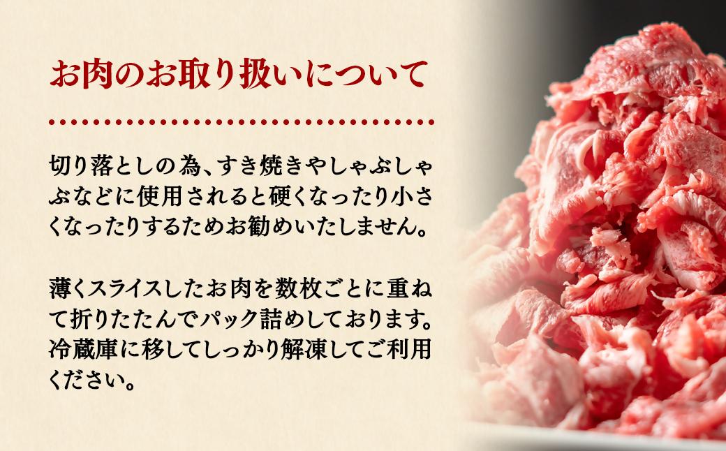 【2月以降発送】合計1.8kg！宮崎県産黒毛和牛切り落とし900ｇ＆宮崎牛入り黒毛和牛100％贅沢ハンバーグ 150g×6個  訳あり モモ肉・バラ肉食べ比べ＜1.9-13＞