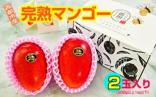 西都市産完熟マンゴー2玉（900g～1kg）薗田農園 【先行予約】＜1.8-29＞2026年発送
