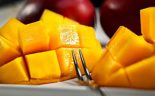 西都市産完熟マンゴー2玉（900g～1kg）薗田農園 【先行予約】＜1.8-29＞2026年発送